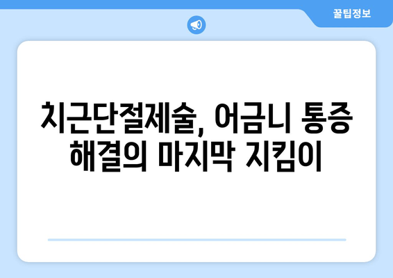 어금니 치근단절제술 경험, 광진구 건대치과의 전문적인 치료 사례 공개 | 치근단절제술, 어금니, 치과, 광진구, 건대치과, 치료 사례