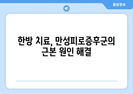 만성피로증후군, 맞춤식 보약으로 이겨낼 수 있을까? | 한방, 건강, 피로 해소, 면역력 강화