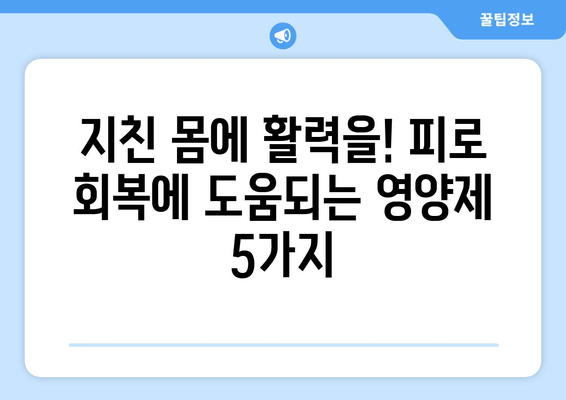 피로 회복에 효과적인 영양제 5가지 | 피로 해소, 체력 증진, 영양제 추천