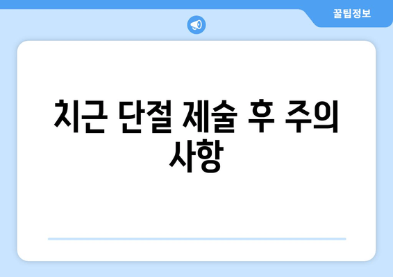 광진구 건대 치과| 어금니 치근 단절 제술 - 치료 과정과 주의 사항 | 어금니, 치근, 단절, 치료, 주의, 정보