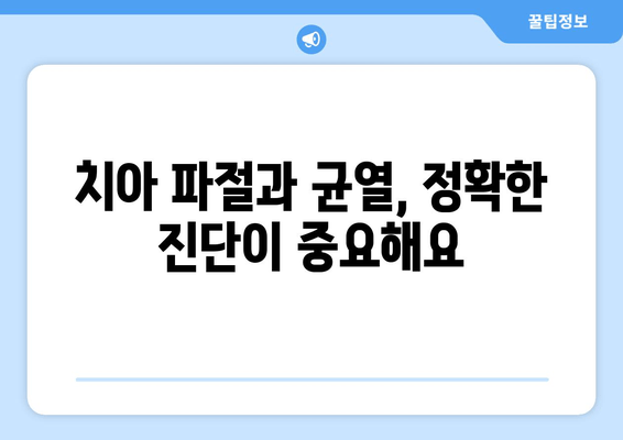 건대치과 쪼개진 치아 치료| 4가지 옵션 비교분석 | 치아 파절, 치아 균열, 치료 방법, 비용