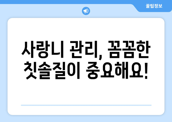 사랑니 충치, 건대치과가 알려주는 예방법 | 사랑니, 충치 예방, 건대 치과, 치아 건강