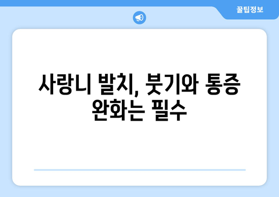 건대입구역 치과| 사랑니 잇몸 통증, 어떻게 해야 할까요? | 사랑니 발치, 잇몸 염증, 치과 추천, 건대 치과