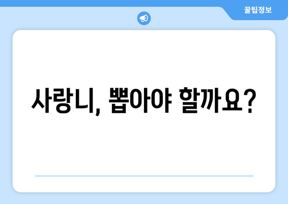 건대치과 사랑니, 욱신거리는 잇몸의 원인일까요? | 사랑니 통증, 잇몸 붓기, 발치 상담