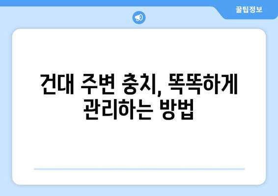 건대치과 주변 충치 진료, 손상 심화 막는 똑똑한 방법 | 충치 예방, 치과 선택 가이드, 건대 치과 추천