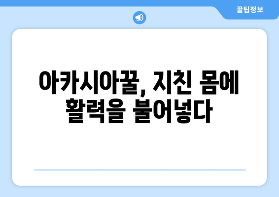 천연 피로 회복제, 아카시아꿀로 활력 충전! | 피로 해소, 꿀 효능, 건강 관리