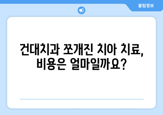 건대치과 쪼개진 치아 치료| 4가지 옵션 비교분석 | 치아 파절, 치아 균열, 치료 방법, 비용