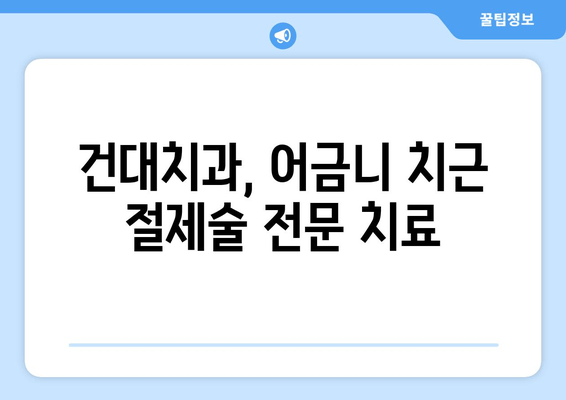 어금니 치근 절제술 고민? 건대치과 치과세라믹 사례로 알아보세요 | 어금니, 치근, 절제술, 건대치과, 치과세라믹, 치료사례