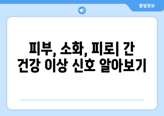 간 건강 이상 신호? 피부, 소화, 피로 증상 체크리스트 | 간 기능 저하, 간 건강 관리, 증상 완화