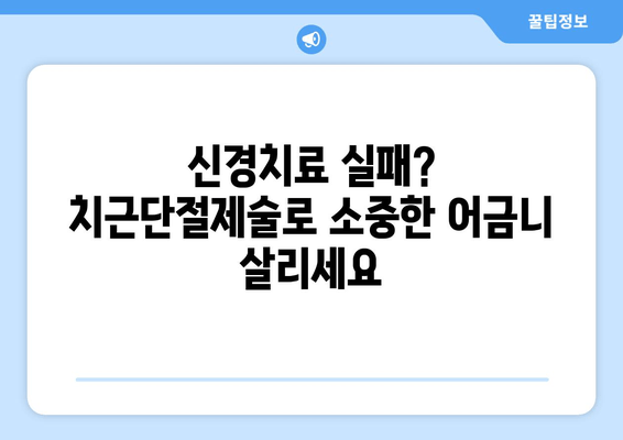 광진구 건대치과 어금니 치근단절제술 성공 사례| 치료 과정과 결과 공개 | 어금니, 신경치료, 치근단절제술, 임플란트, 치과