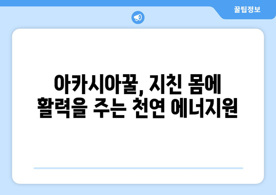 천연 피로 회복제| 아카시아꿀의 놀라운 효능 | 피로 해소, 면역력 강화, 건강 식품, 자연 치유