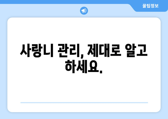 건대치과 누워 있는 사랑니, 어떻게 해야 할까요? | 사랑니 발치, 사랑니 통증, 사랑니 관리, 건대 치과 추천