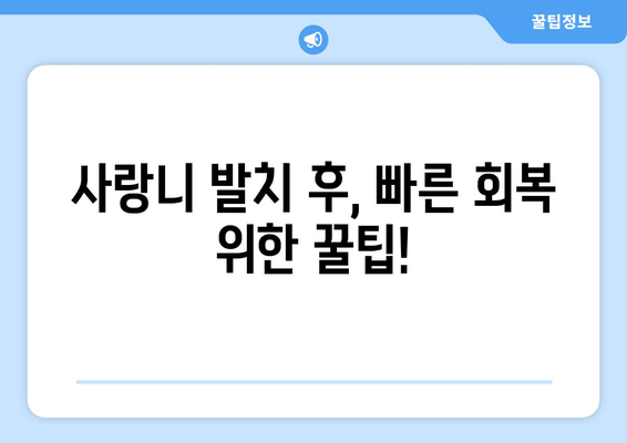 건대치과 누운 사랑니, 어떻게 해야 할까요? | 사랑니 발치, 통증 완화, 치과 추천