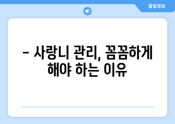 건대치과| 사랑니 충치, 이렇게 예방하세요! | 사랑니 관리, 충치 예방 팁, 건대 치과 추천