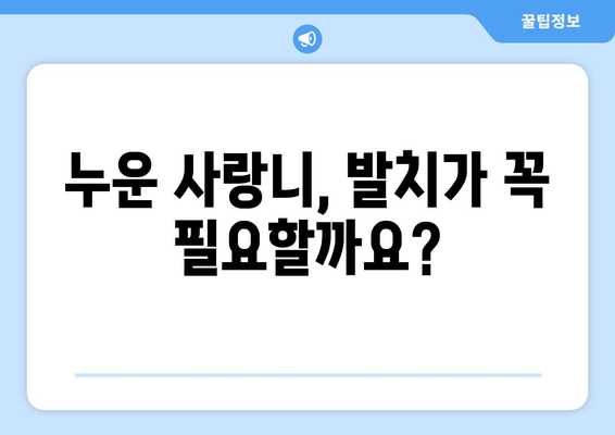 건대치과 누운 사랑니, 효율적인 해결책 찾기|  가장 적합한 치료법과 주의사항 | 사랑니 발치, 통증 완화, 회복 팁