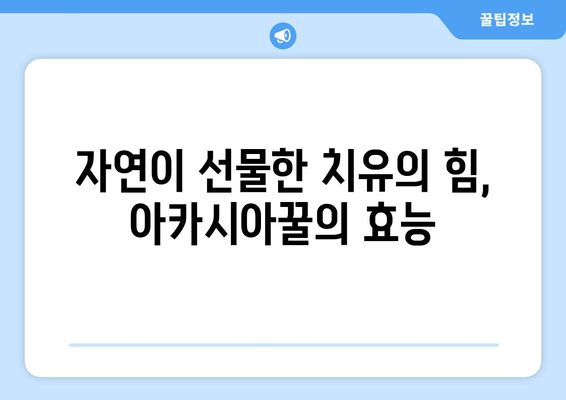 천연 피로 회복제| 아카시아꿀의 놀라운 효능 | 피로 해소, 면역력 강화, 건강 식품, 자연 치유