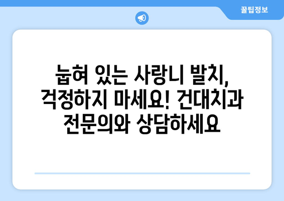 건대치과 눕혀 있는 사랑니 치료| 안전하고 효과적인 방법 알아보기 | 사랑니 발치, 눕혀 있는 사랑니, 건대 치과 추천