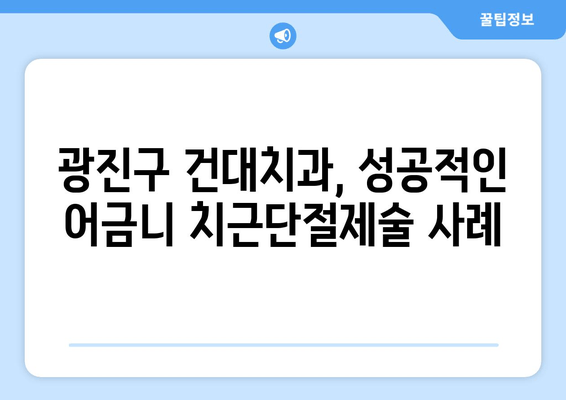 어금니 치근단절제술 경험, 광진구 건대치과의 전문적인 치료 사례 공개 | 치근단절제술, 어금니, 치과, 광진구, 건대치과, 치료 사례