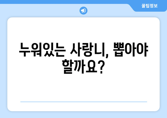 건대치과 누워있는 사랑니, 어떻게 치료해야 할까요? | 사랑니 발치, 난이도, 치료 과정