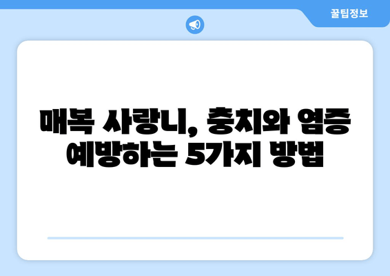 건대치과 매복 사랑니, 충치와 염증을 예방하는 5가지 방법 | 매복 사랑니 관리, 치과 추천, 구강 관리 팁