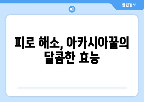 천연 피로 회복제, 아카시아꿀로 활력 충전! | 피로 해소, 꿀 효능, 건강 관리