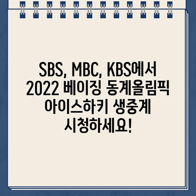 2022 베이징 동계올림픽 아이스하키 경기, SBS·MBC·KBS 생중계 시청하기 | 무료 라이브 스트리밍 정보