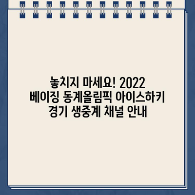 2022 베이징 동계올림픽 아이스하키 경기, SBS·MBC·KBS 생중계 시청하기 | 무료 라이브 스트리밍 정보