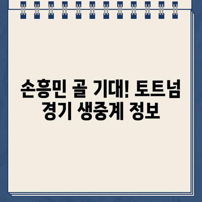 손흥민 출전! 토트넘 vs 에버턴 중계 방송 & 프리미어리그 경기 일정 | 손흥민 골, 경기 하이라이트, 실시간 스코어