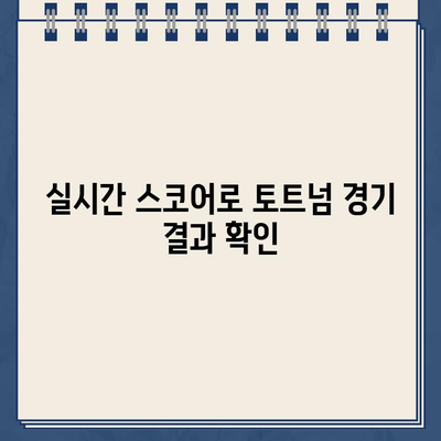 손흥민 출전! 토트넘 vs 에버턴 중계 방송 & 프리미어리그 경기 일정 | 손흥민 골, 경기 하이라이트, 실시간 스코어