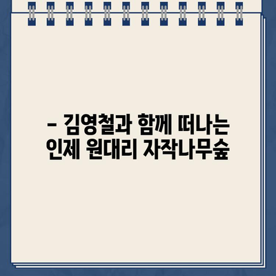 김영철의 동네 한 바퀴 속 인제 원대리 자작나무숲, 그 아름다운 촬영지 찾아가기 | 강원도 여행, 가을 단풍 명소, 자작나무 숲 위치