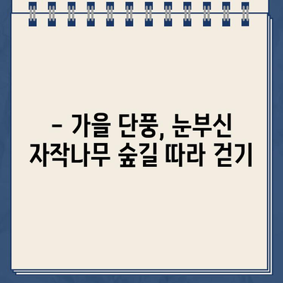 김영철의 동네 한 바퀴 속 인제 원대리 자작나무숲, 그 아름다운 촬영지 찾아가기 | 강원도 여행, 가을 단풍 명소, 자작나무 숲 위치