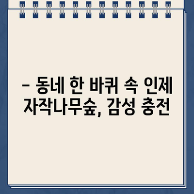 김영철의 동네 한 바퀴 속 인제 원대리 자작나무숲, 그 아름다운 촬영지 찾아가기 | 강원도 여행, 가을 단풍 명소, 자작나무 숲 위치