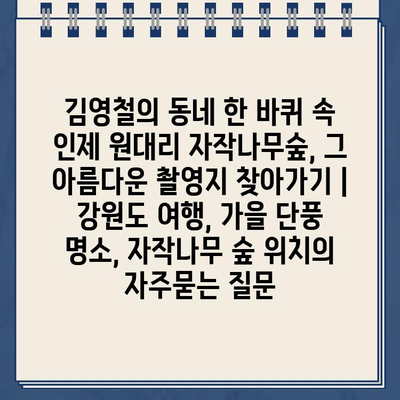 김영철의 동네 한 바퀴 속 인제 원대리 자작나무숲, 그 아름다운 촬영지 찾아가기 | 강원도 여행, 가을 단풍 명소, 자작나무 숲 위치