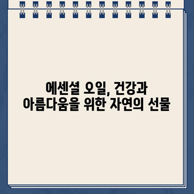 에센셜 오일 종류별 효능 3가지| 건강과 아름다움을 위한 선택 가이드 | 에센셜 오일, 천연 오일, 아로마테라피, 건강, 피부 관리, 힐링