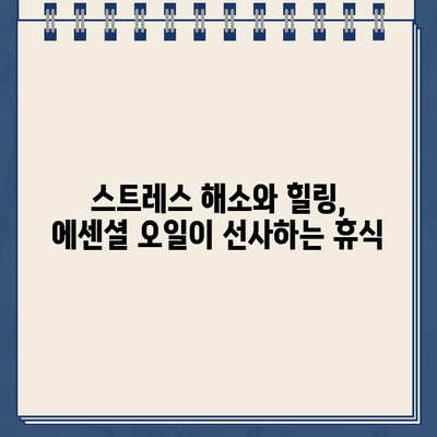 에센셜 오일 종류별 효능 3가지| 건강과 아름다움을 위한 선택 가이드 | 에센셜 오일, 천연 오일, 아로마테라피, 건강, 피부 관리, 힐링