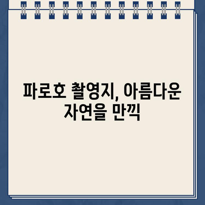 한국인의 밥상 강원도 양구 파로호 촬영지| 시래기붕어찜, 석류탕 맛집 탐방 & 규아상 택배 주문 정보 | 촬영장소, 맛집 정보, 택배 주문