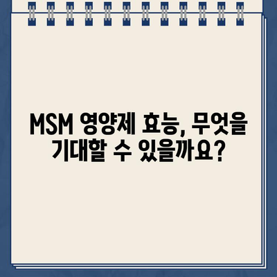 MSM 영양제, 뭘 사야 할지 고민이시라면? | BEST 7 MSM 추천, 효능, 부작용, 구매 가이드 (2024)