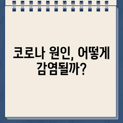 코로나 증상과 원인, 오늘의 주요 뉴스 요약 (2022년 8월 5일 금요일) | 코로나19, 증상, 원인, 뉴스, 요약