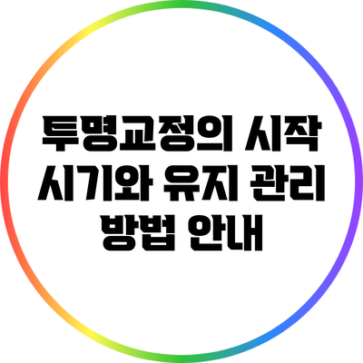 투명교정의 시작 시기와 유지 관리 방법 안내